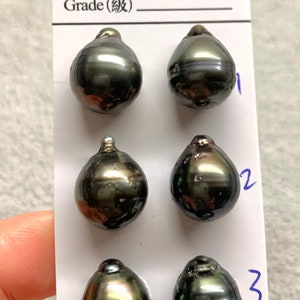 Tahitian Pearl, 11-12 MM High Luster Circle-Drop/Baroque Tahitian Cultured peaSold by Pair, Lot 20116X-1112-111122-2