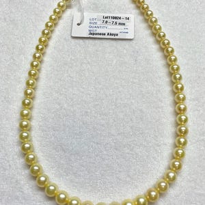 7.0-7.5 mm High Luster AAA Golden (Dyed color) Akoya Cultured Pearl, Sold By Strand, 16 Inches, Lot110824-14