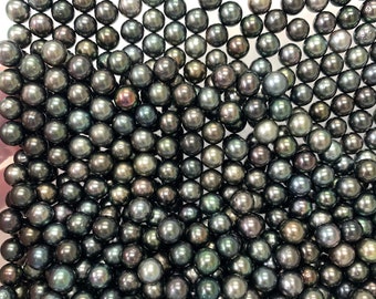 8-9 mm High Luster Round/Near Round Dark Tahitian Cultured Pearl, Sold by pc, Loose Tahitian Pearls, Wholesale pearls, Lot-193-89-03