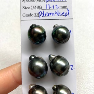 11-12 MM Natural Color Oval/Tear Drop Tahitian Cultured pearl For pearl earrings,Pendant, wholesale,Sold by Pair Lot20116-1112123121-9