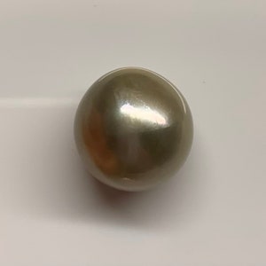 13.8 mm Natural Color, Baroque,Tahitian pearl Cultured For pearl Ring, earrings,Pendant, wholesale,Sold by PC, Lot18312-1314-091323-3