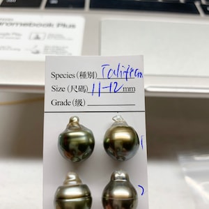 Tahtian pearl,11-12MM High Luster Grey Tone,Oval/Tear Drop/Circle Tahitian Cultured pearl pairs,Good for pearl earrings,Pendant
