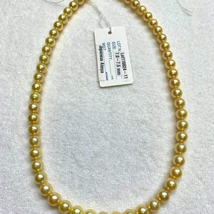 7.0-7.5 mm High Luster AAA Golden (Dyed color) Akoya Cultured Pearl, Sold By Strand, 16 Inches, Lot110824-11