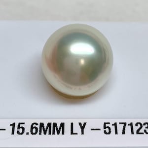 May include: A large, lustrous, round pearl with a creamy white and iridescent surface. The pearl is approximately 15.6mm in diameter. The text "SS - 15.6MM LY - 517123" is printed on a white label below the pearl.