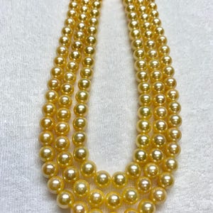 6.5-7.0mm High Luster AAA Golden (Dyed color) Akoya Cultured Pearl, Sold By Strand, 16 Inches, Lot110824-8