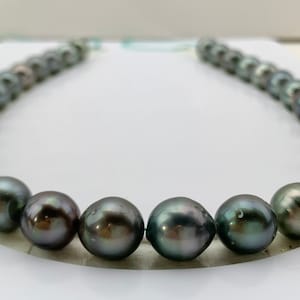 Multi Color 11.1-12.6 mm Oval/Circle Tahitian Cultured pearl Necklace, wholesale pearls, Tahitian Pearl, Lot-222345-1113-021124-3