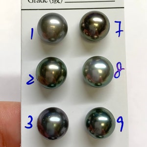 タヒチ真珠、9-10 MM ラウンド/ニアラウンド、グレー、グリーン、ブラックトーン、卸売、タヒチ養殖真珠、PC 販売、ロット 19648-910-050924-2
