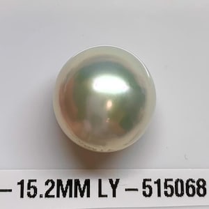May include: A white pearl with a slight green hue, measuring 15.2 mm. The pearl is on a white surface with the text "SS - 15.2MM LY - 515068".