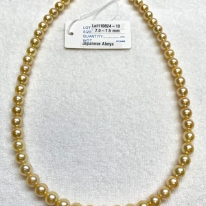 7.0-7.5 mm High Luster AAA Golden (Dyed color) Akoya Cultured Pearl, Sold By Strand, 16 Inches, Lot110824-13