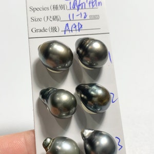 11-12 MM Natural Color Oval/Tear Drop Tahitian Cultured pearl For pearl earrings,Pendant, wholesale,Sold by Pair Lot18319612-1112-070620-3