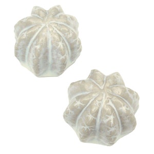 Set of 2 Cactus Toilet Bolt Covers in Beige/White Glaze, USA made - far superior than machine-made knock-offs from China