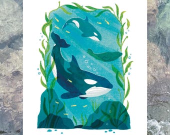 Orcas in Kelp Forest | 8 x 10 Print