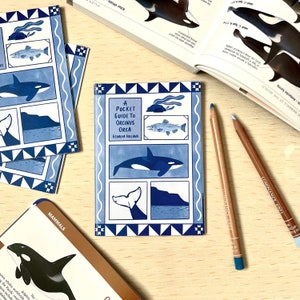 May include: A blue and white pocket guide to Orcinus Orca, also known as killer whales. The cover features illustrations of orcas swimming in the ocean. The title of the book is "A Pocket Guide to Orcinus Orca" by Georgia Holland.