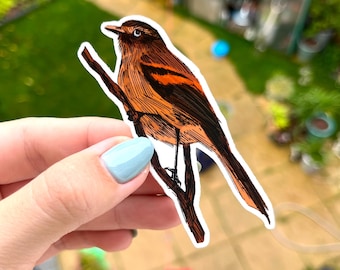 Little Bird Vinyl Sticker