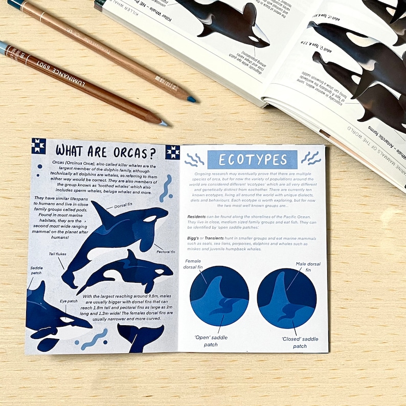 A Pocket Guide to Orcinus Orca - Mini Zine - Etsy