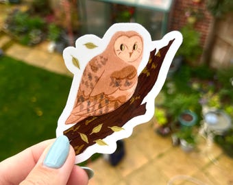 Barn Owl Vinyl Sticker