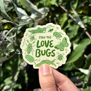 Try to Love Bugs Vinyl Sticker