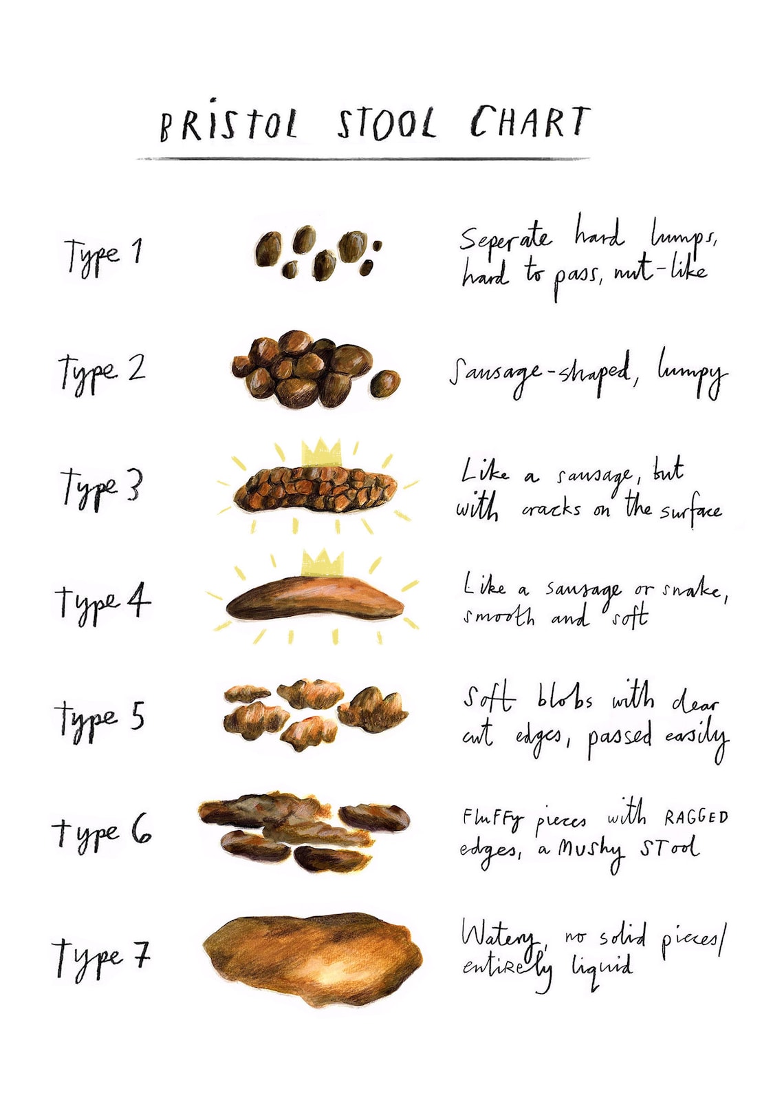 Bristol Stool Chart Illustrated Etsy