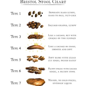 Bristol Stool Chart Digital Download - Etsy Canada