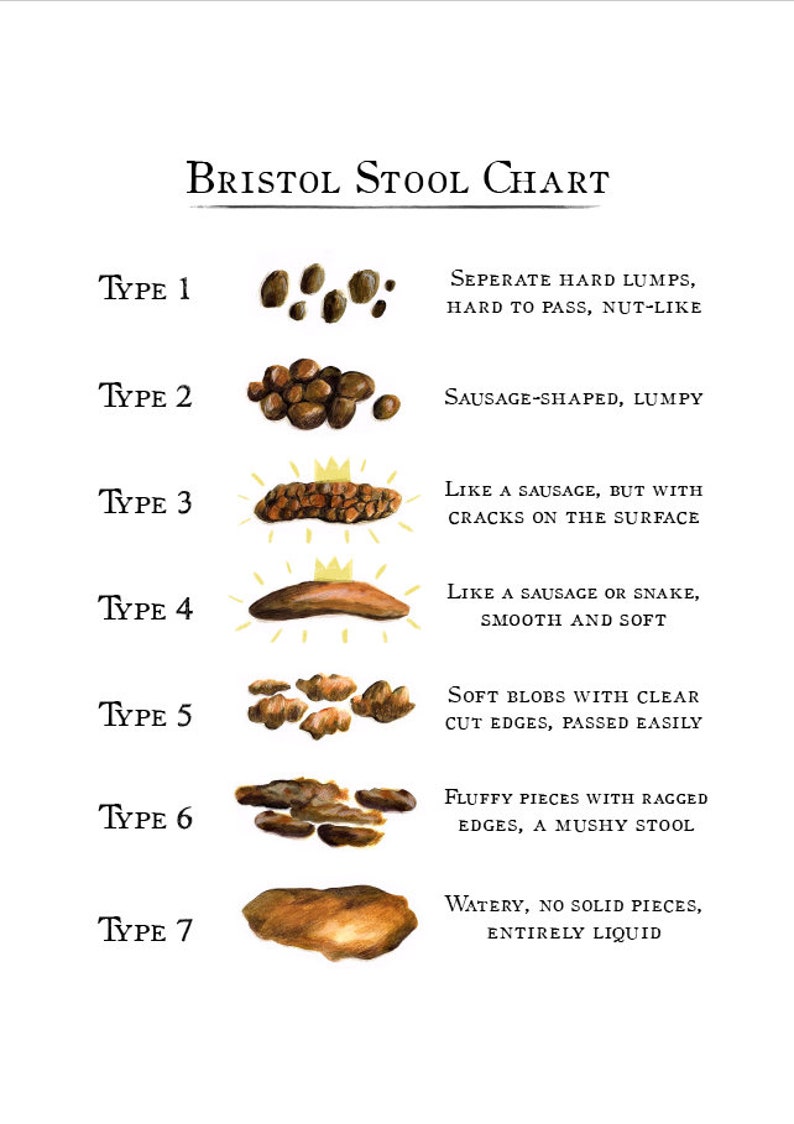 Bristol Stool Chart Digital Download Etsy