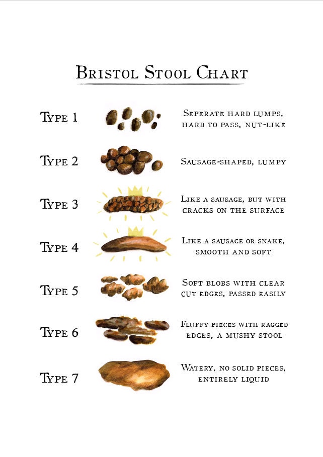 Bristol Stool Chart Digital Download - Etsy Canada