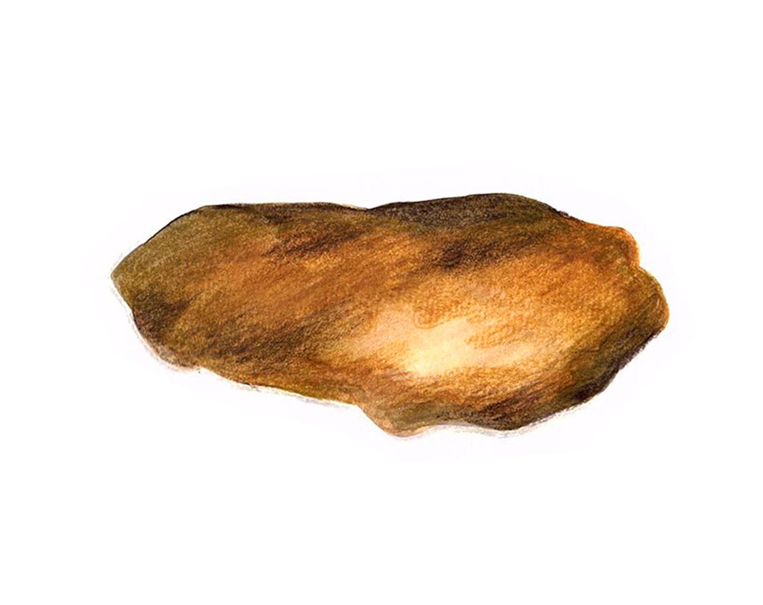 Bristol Stool Chart Digital Download - Etsy