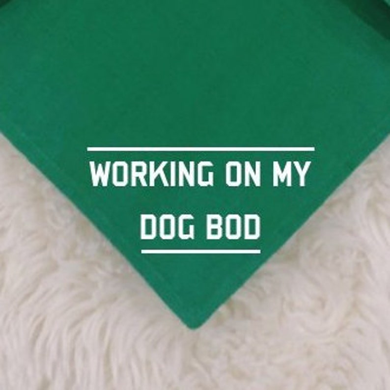 Dog Bandana Working on My Dog Bod Funny Boho Dog Collar Personalized Best Friend Gift Dog Dog Lover Gift Bandana Dog Dad Gifts For Her