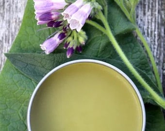 Comfrey Salve / Comfrey Balm / Skin Balm/ Herbal Salve