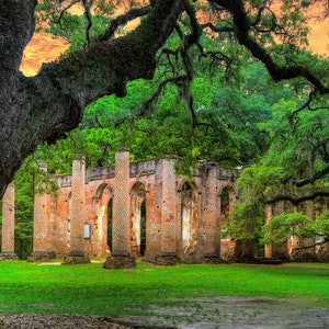 Tree, Old Sheldon Church, live oak tree, church, lowcountry, South Carolina, , color photograph, angel oak, wall art, canvas or paper.