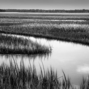 Low country, marsh, Hilton Head, South Carolina, coast, landscape, seascape, black and white photograph, low country art, wall art.