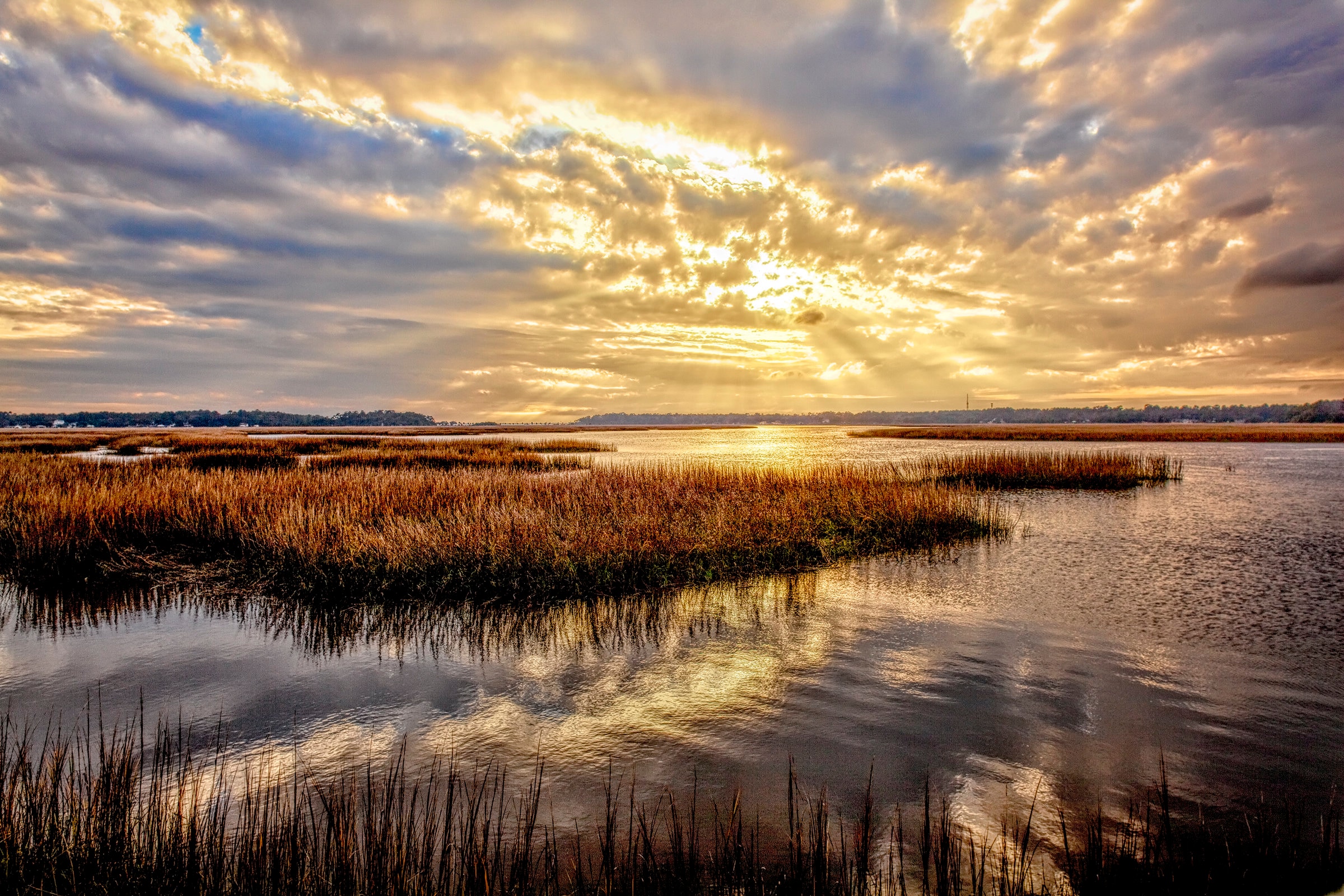 Photograph of the Low Country, Marsh, Savannah, Skidaway Island