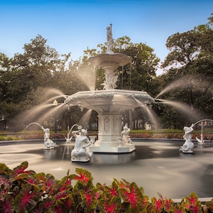 Savannah, Forsyth park fountain, historic savannah, spanish moss, color photograph, low country art, water fountain, wall art, oak trees.