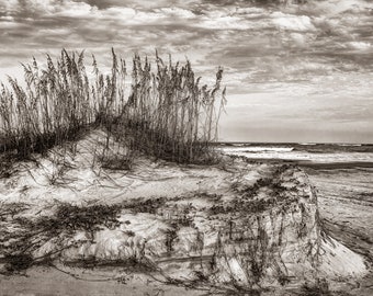 Savannah, Tybee Island, black and white seascape, black and white photograph, wall art, ocean, beach, fine art photography, sepia.