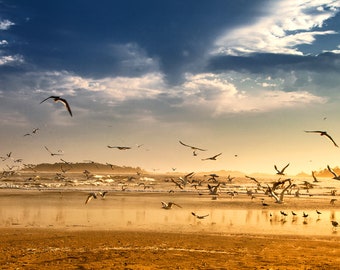 Savannah, Georgia, Tybee Island, spiaggia, paesaggio marino, uccelli, paesaggio, tramonto sull'oceano, arte originale, arte murale, belle arti, tela o carta.