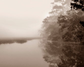 Black and white, sepia, Savannah, live oak trees, low country art, minimalism, seascape, fog, interior decor, wall art, original art.