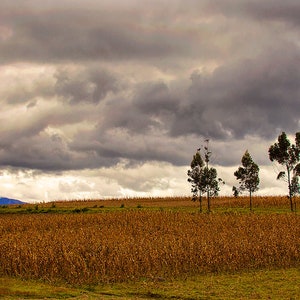 Photography, panoramic, photographic print, andes mountains, Ecuador, highlands, wall art, fine art, original art.