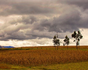 Photography, panoramic, photographic print, andes mountains, Ecuador, highlands, wall art, fine art, original art.