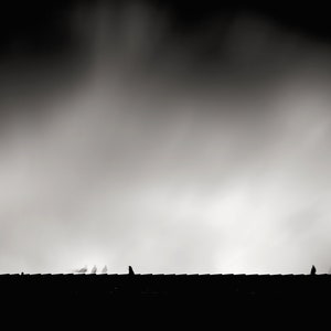 Black and white photograph, minimalism, abstract, birds, fine art photography, Savannah, Georgia, Tybee Island, wall art.