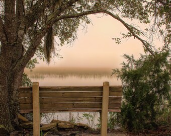 Photography, Savannah, wall art, landscape, seascape, photographic print, marsh, low country, color photograph, fine art, canvas or paper.