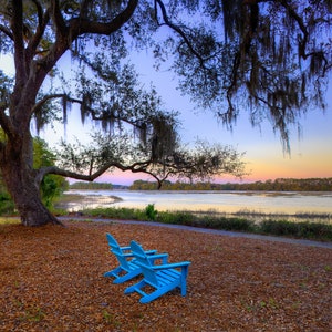 Photograph, low country art, marsh, live oak tree, color photograph, South Carolina, landscape, fine art, wall art, home decor.
