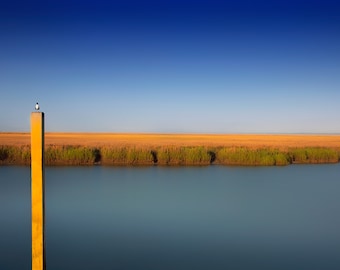 Color photograph, Tybee Island, Savannah Georgia, seascape, landscape, marsh, bird,low country, fine art photograph, minimalism, wall art.