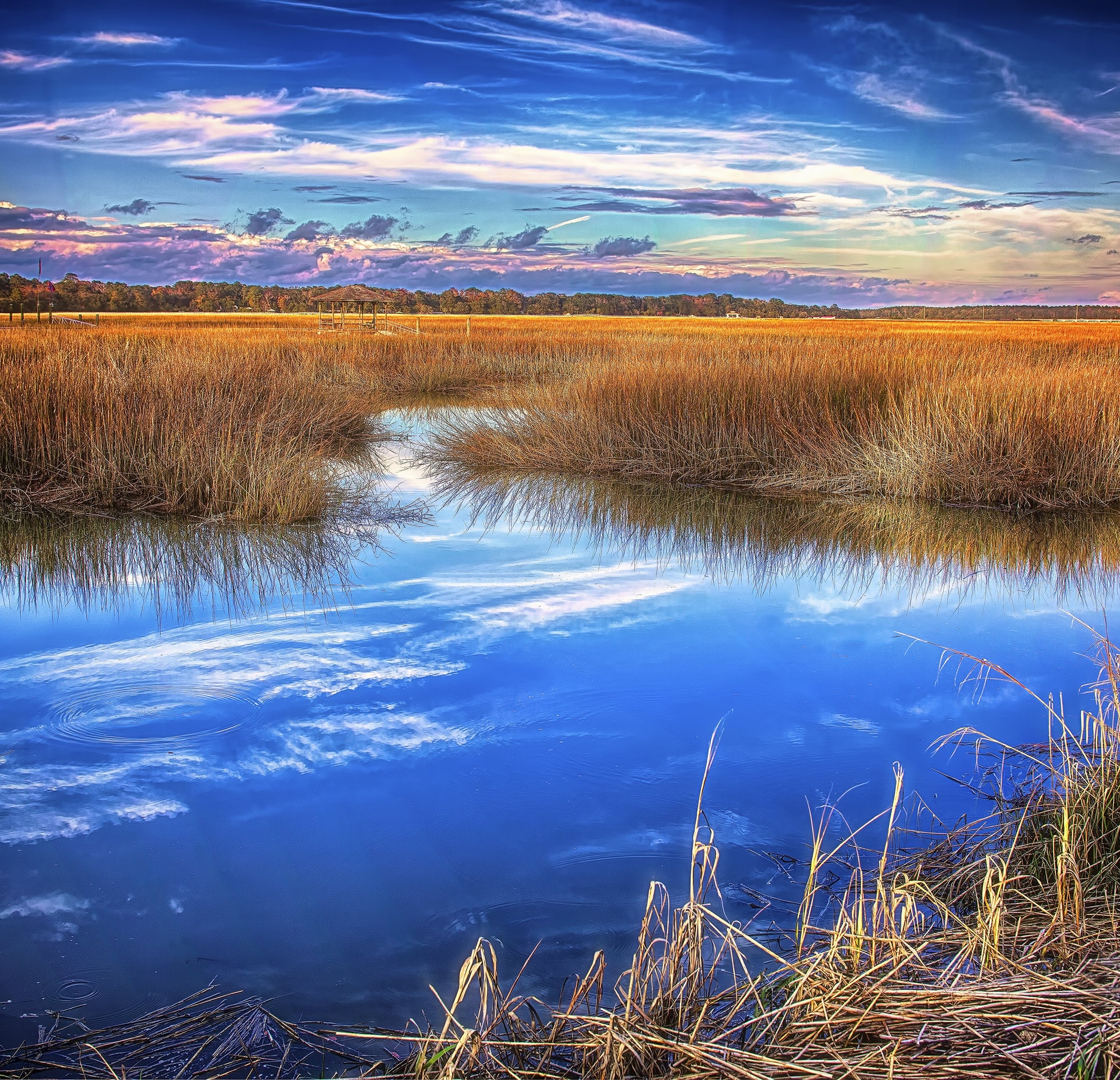Fotografía, campo bajo, pantano, fotografía en color, impresión fotográfica, Savannah, Georgia, paisaje marino, agua, bellas artes, arte de pared.