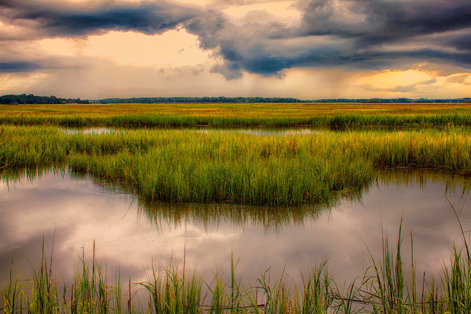 Low Country Art, Marsh Art, Savannah, Coast, Storm Clouds
