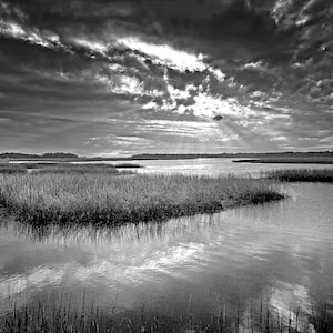 Black and white photograph of the marsh in Savannah, Georgia. Low country art, landscape, marsh, fine art, interior decor, wall art.