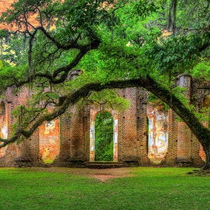 Alte Sheldon Kirche, Eichenbaum, South Carolina, Farbfotografie, Lowcountry, Engel Eiche, Wandkunst, Ruinen, Leinwand oder Papier.