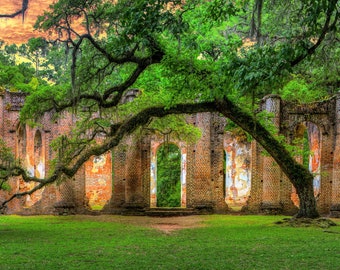 Iglesia Old Sheldon, roble vivo, Carolina del Sur, fotografía en color, lowcountry, roble ángel, arte mural, ruinas, lienzo o papel.