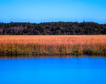 Photograph of the marshland in the low country on the Georgia coast. Low country art, marsh, seascape, landscape photography, wall art.
