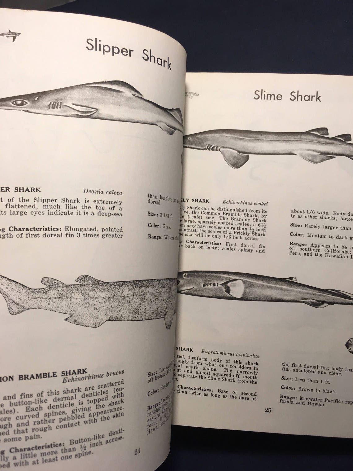 Vintage Dictionary of Sharks 1973 First Edition Published in Etsy