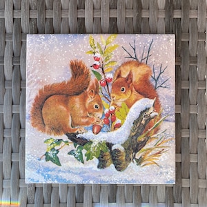 Pode incluir: Dois esquilos marrons com caudas espessas estão sentados em um galho coberto de neve com bagas vermelhas. Os esquilos estão olhando um para o outro. O fundo é uma cena de floresta nevada.