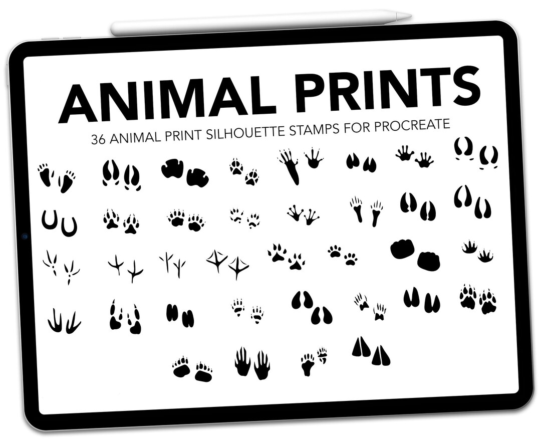 Procreate Animal Paw Prints Stamps Animal Paw Print Stamps Etsy